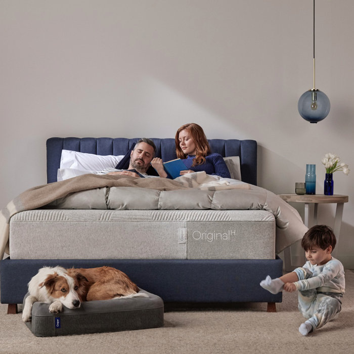 Casper Sleep The Casper Dog Bed & Reviews Wayfair